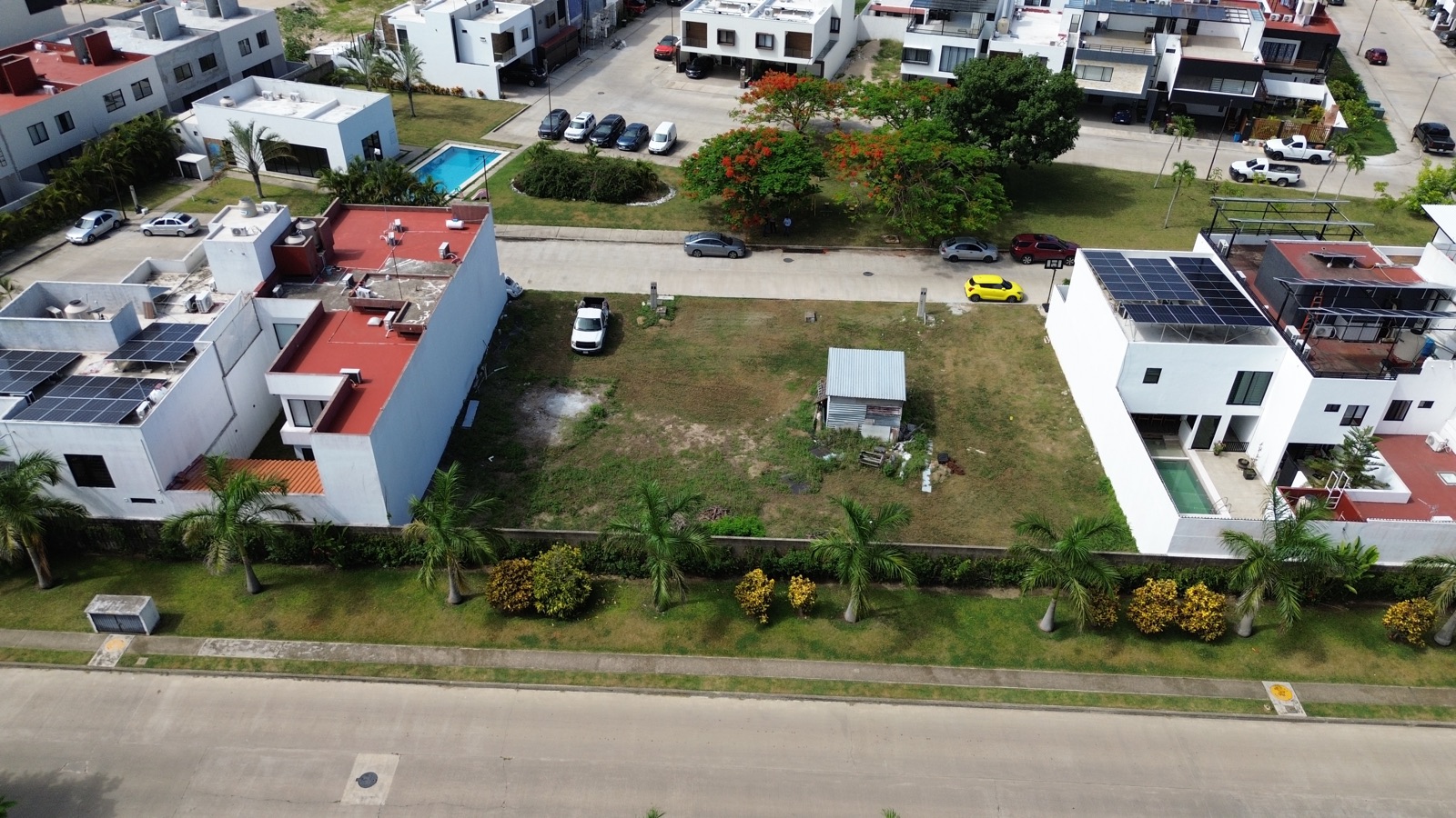 Vista aérea del parque central con framboyanes y residencias del Cluster 4, Real Campestre